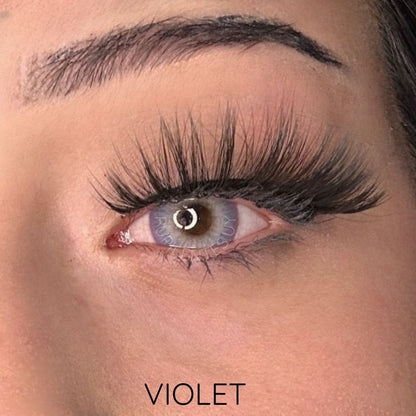 Pupilentes VIOLET + estuche y accesorios