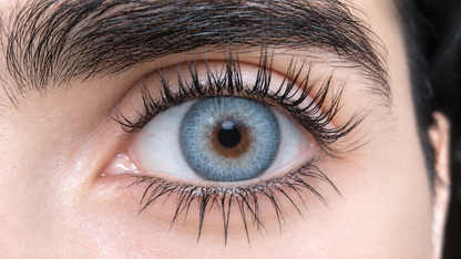 Pupilentes Siam Gray - EyeShare Anuales + Estuche